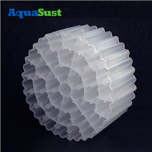 Carrier Biofilm Filter Media