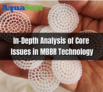 In-Depth Analysis of Core Issues in MBBR Technology