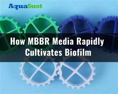 How (Moving Bed Biofilm Reactor)MBBR Media Rapidly Cultivates Biofilm