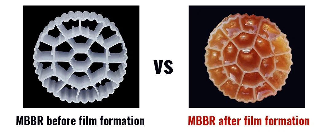 info-1068-441 info-1068-441