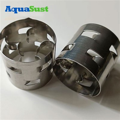 Metal & Plastic Pall Ring